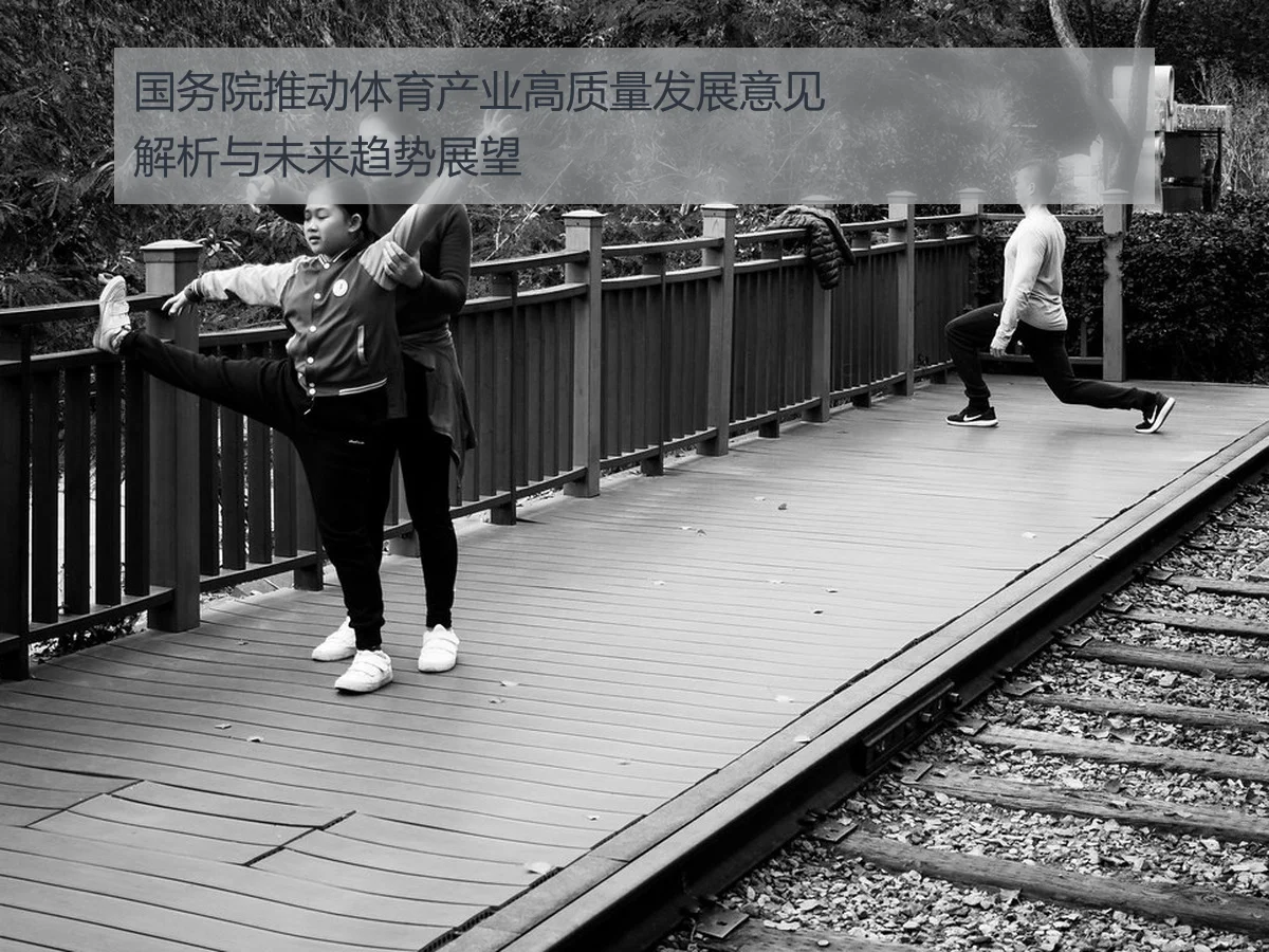 国务院推动体育产业高质量发展意见解析与未来趋势展望(huatihui)